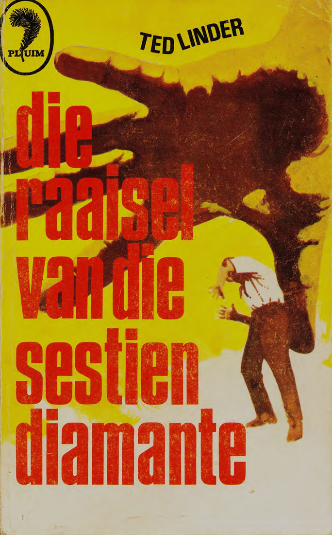 Die raaisel van die 16 diamante - Ted Linder